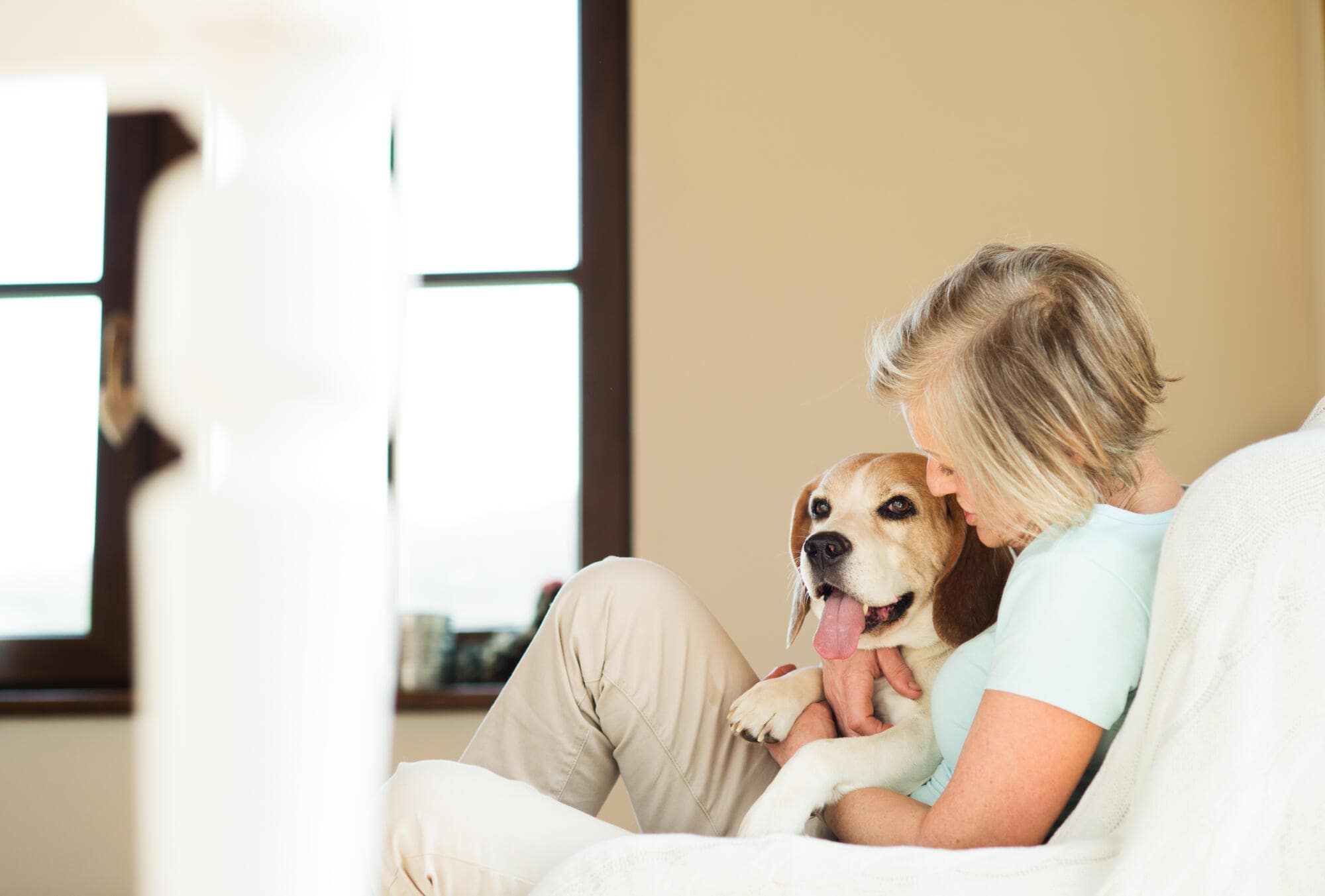 Difference Between Service, Emotional Support Animals, and Pets